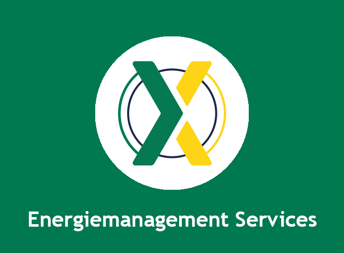 EMS-Services