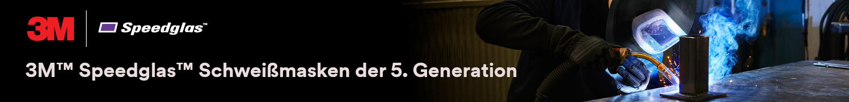 Category Banner_1650 x 200 - Speedglas.png